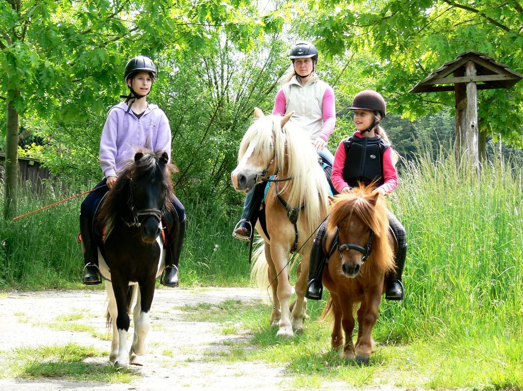 Ferienwohnung Deutschmann Dahlen Bagian luar foto