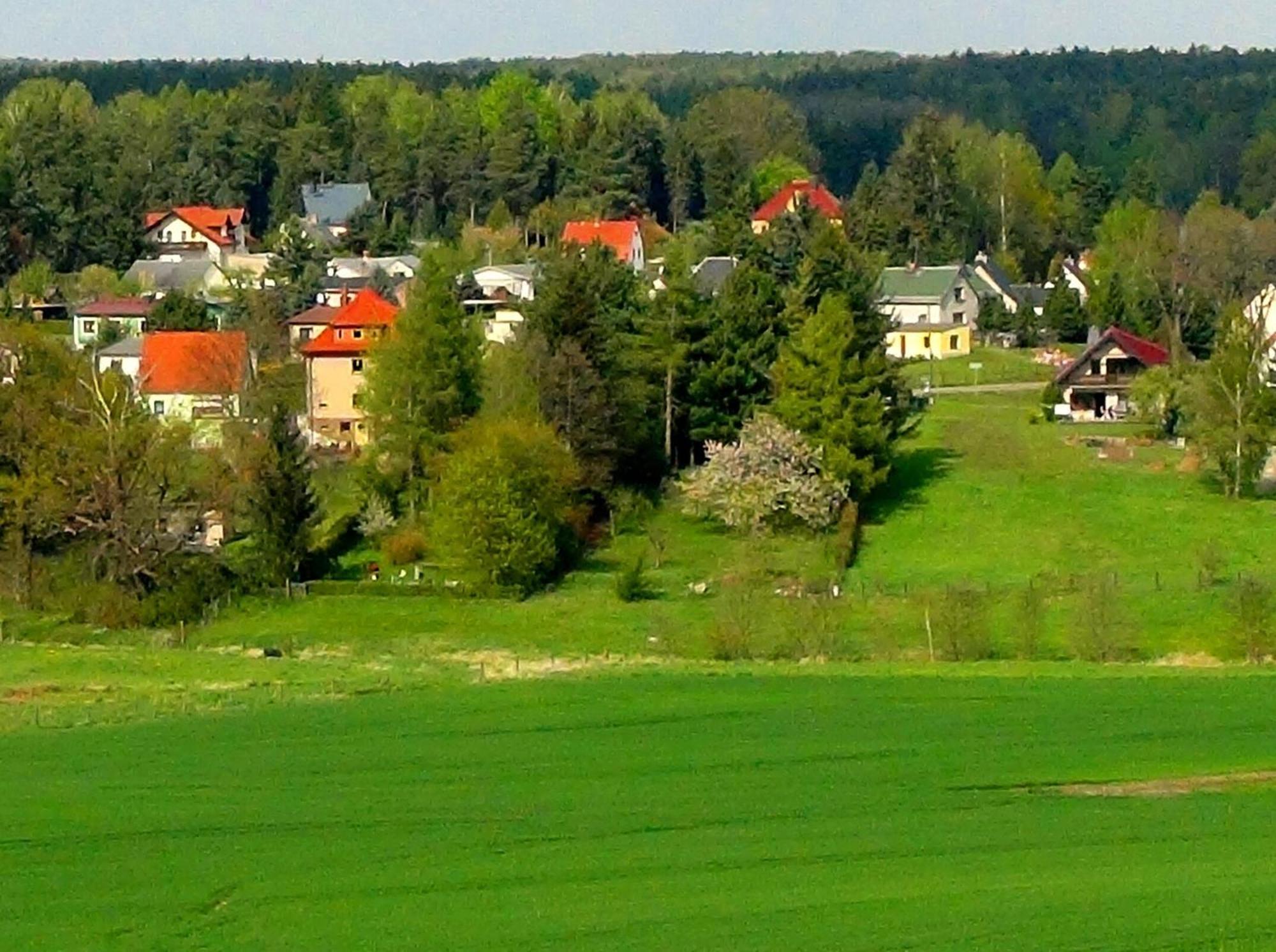 Ferienwohnung Deutschmann Dahlen Bagian luar foto