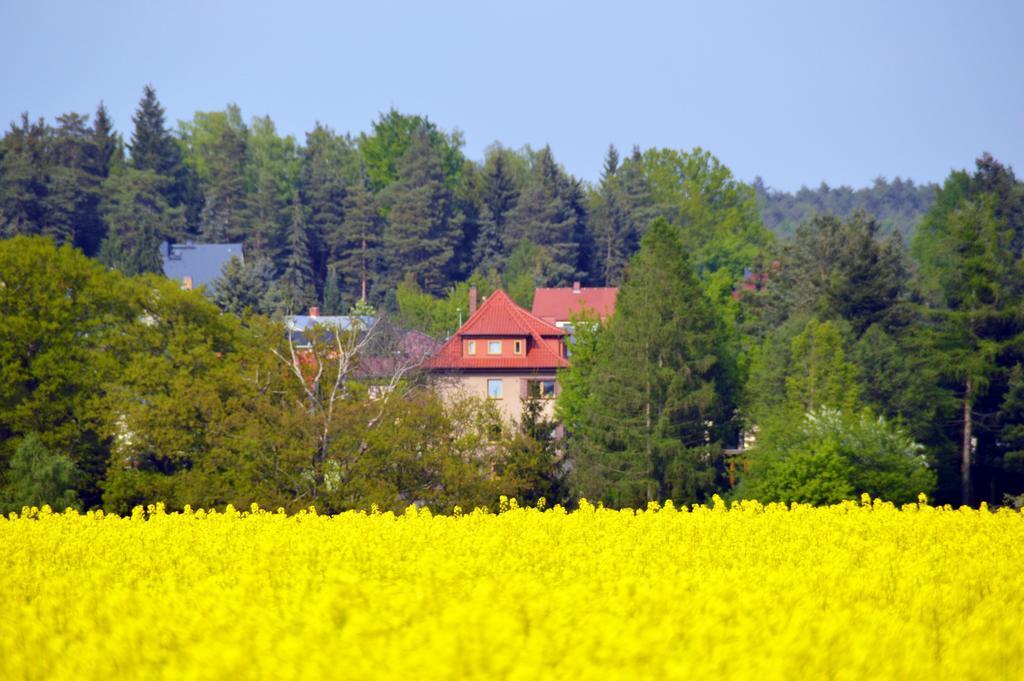Ferienwohnung Deutschmann Dahlen Ruang foto