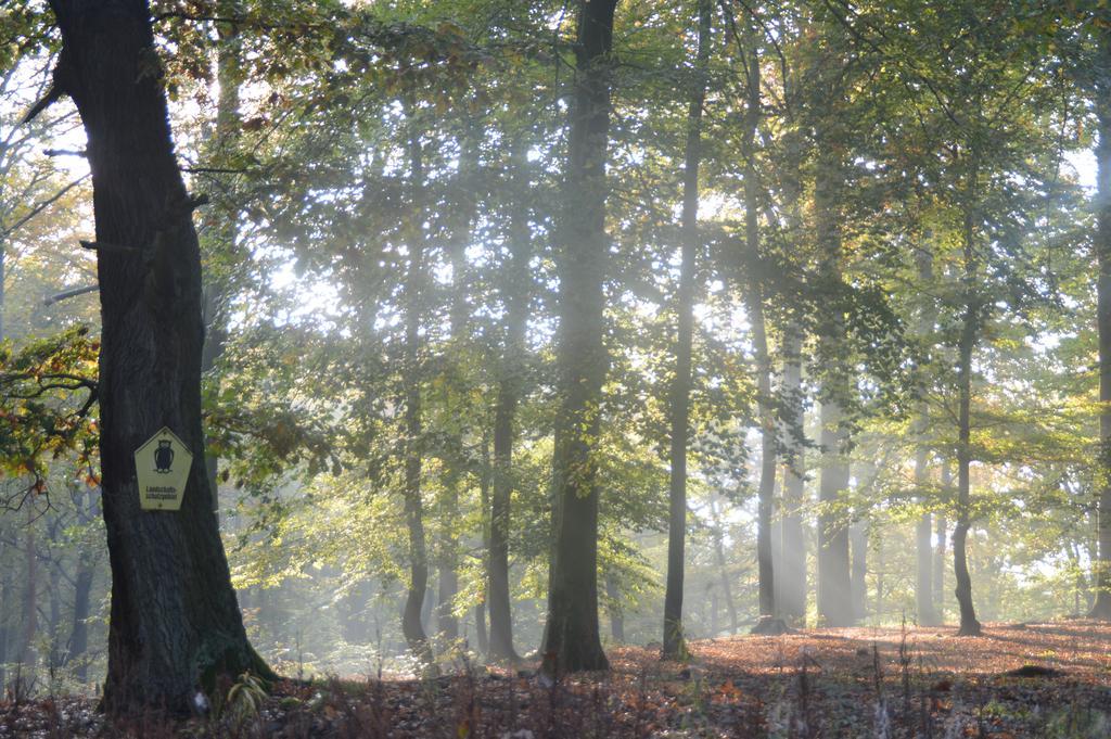 Ferienwohnung Deutschmann Dahlen Bagian luar foto